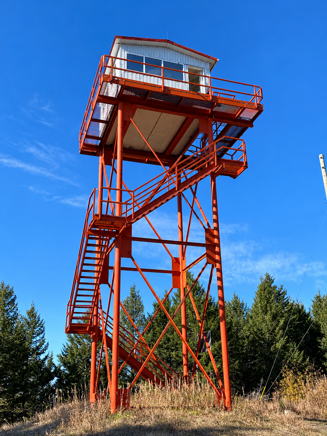 Fire lookout tower above the forest